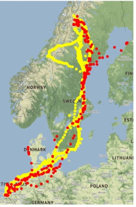 afbeelding binnen de regeling