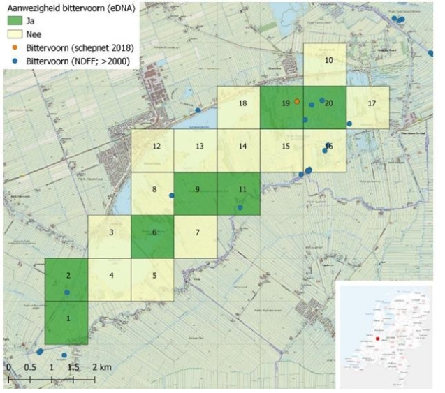 afbeelding binnen de regeling