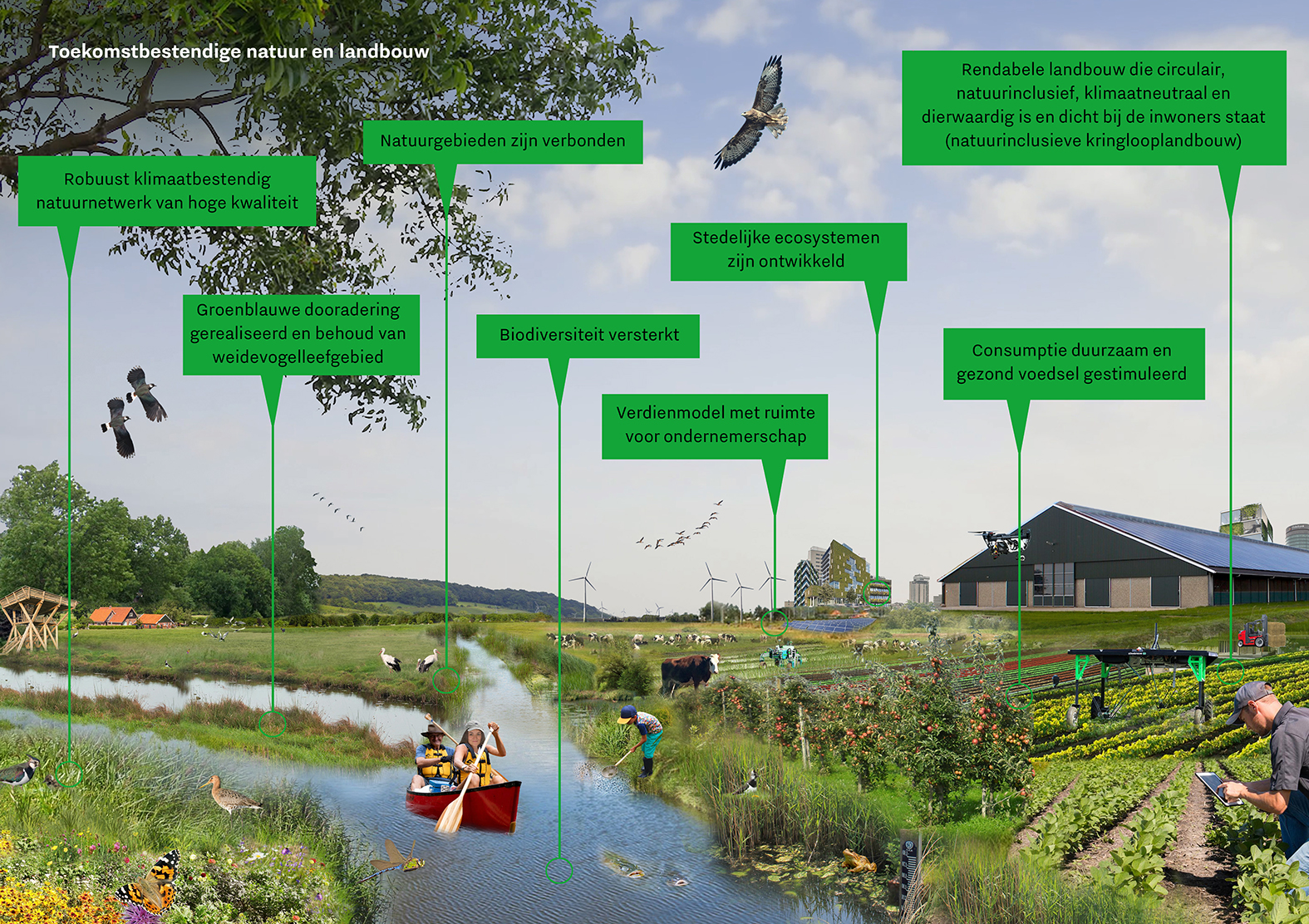 afbeelding binnen de regeling