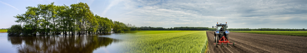 Afbeelding met buitenshuis, wolk, hemel, gras

Automatisch gegenereerde beschrijving