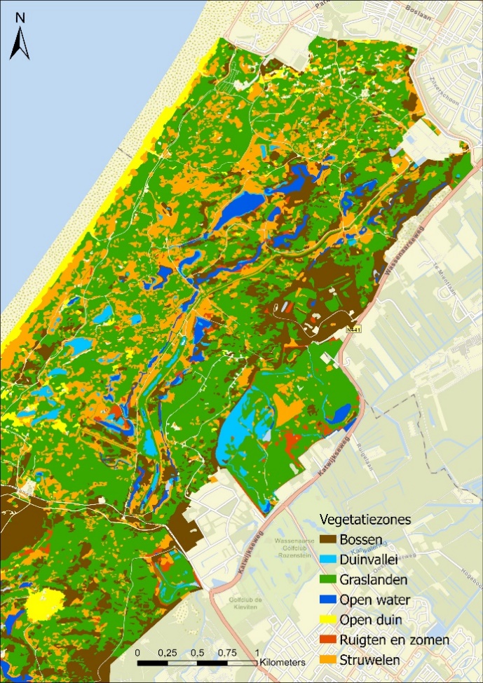 A map of a beach

AI-generated content may be incorrect.