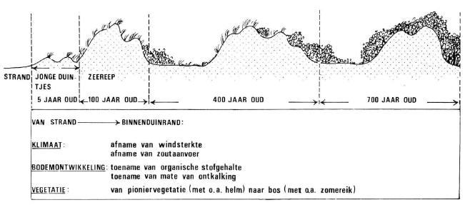 A diagram of a mountain range

AI-generated content may be incorrect.