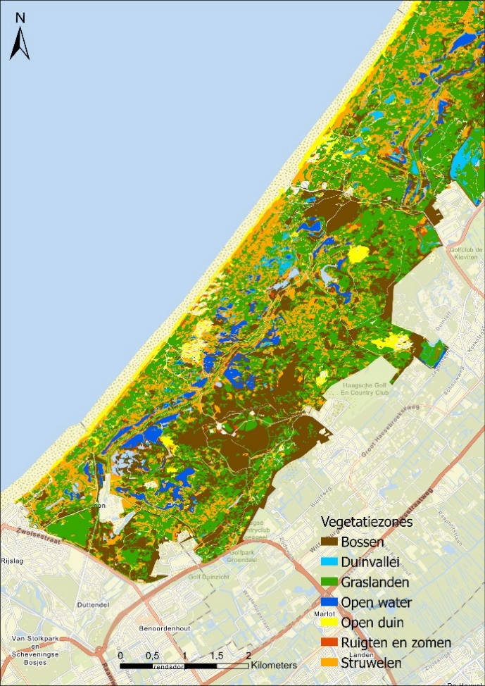 A map of a beach

AI-generated content may be incorrect.