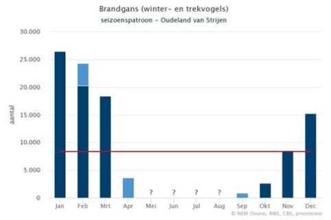 afbeelding binnen de regeling