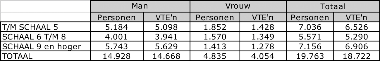 Tabel VII: Opbouw burgerpersoneelsbestand per 30 juni 2011.