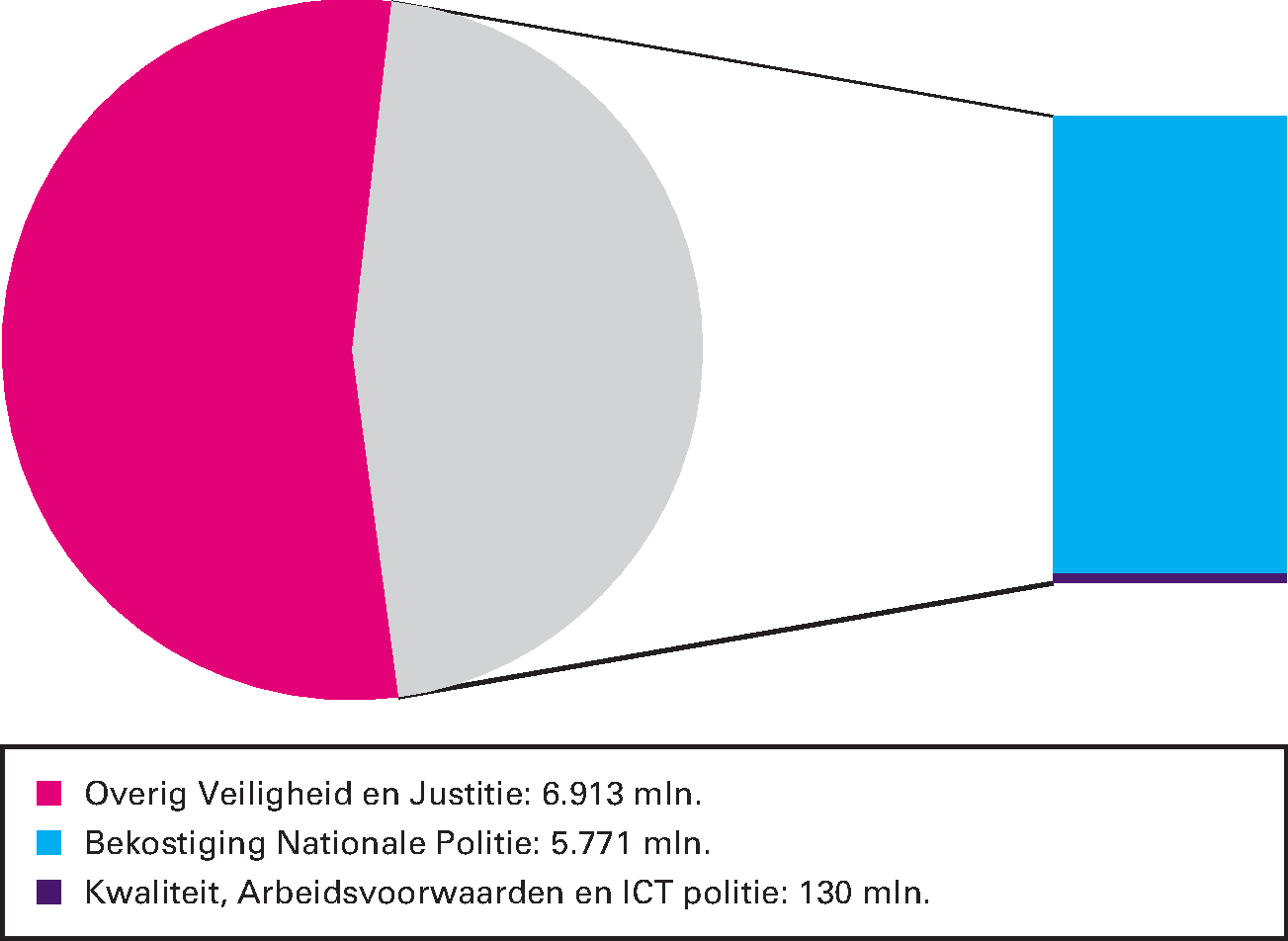 Artikel 31 Politie: 46,1% van de begrotingsuitgaven 