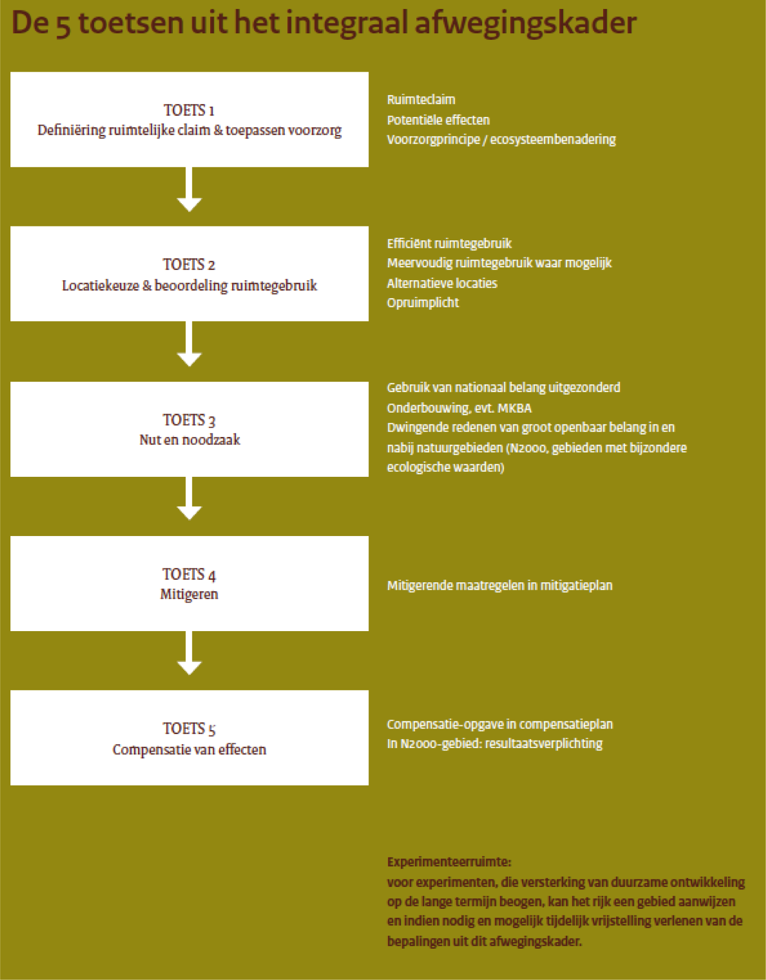 Figuur 4 Systematiek van toetsen