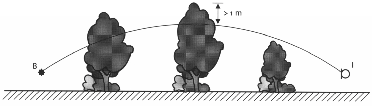 figuur
3.10 Het gekromde geluidspad gaat door twee ‘regels’
vegetatie