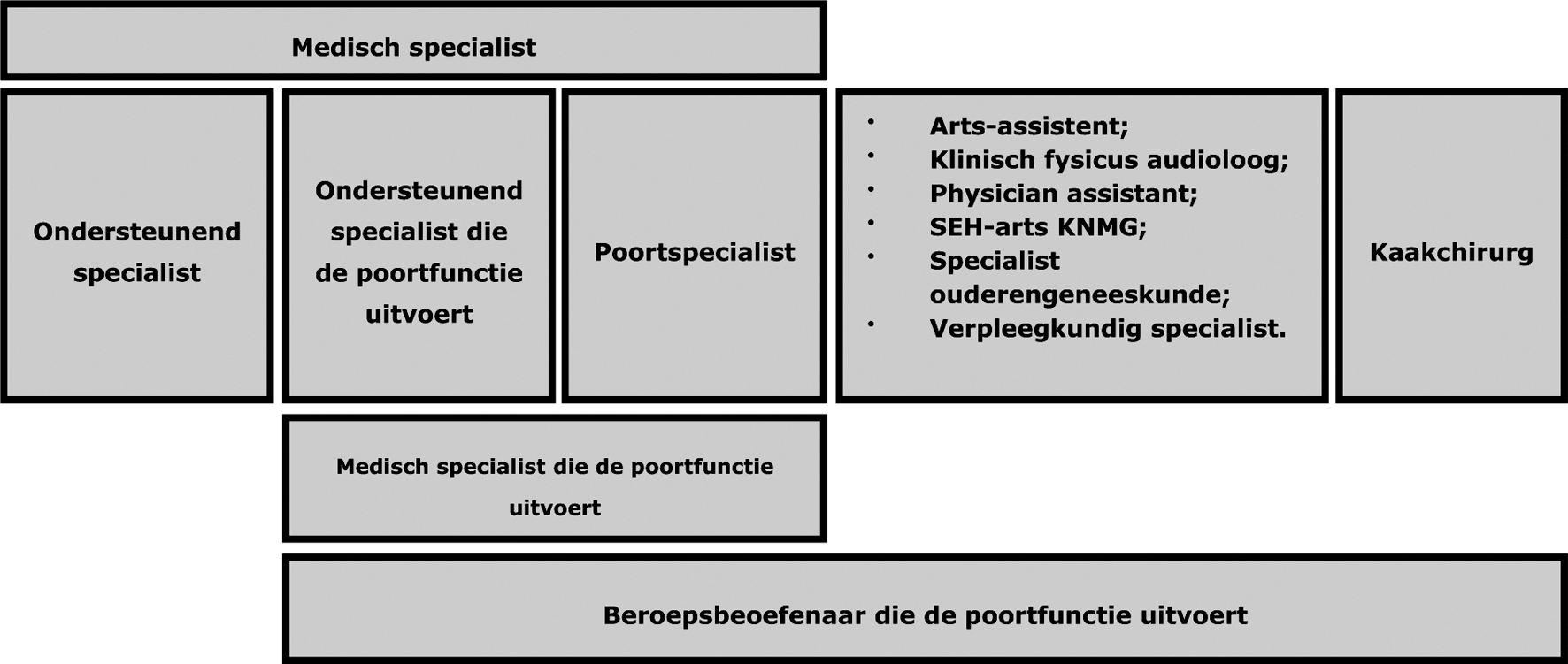 Figuur 1 Overzicht beroepsbeoefenaren