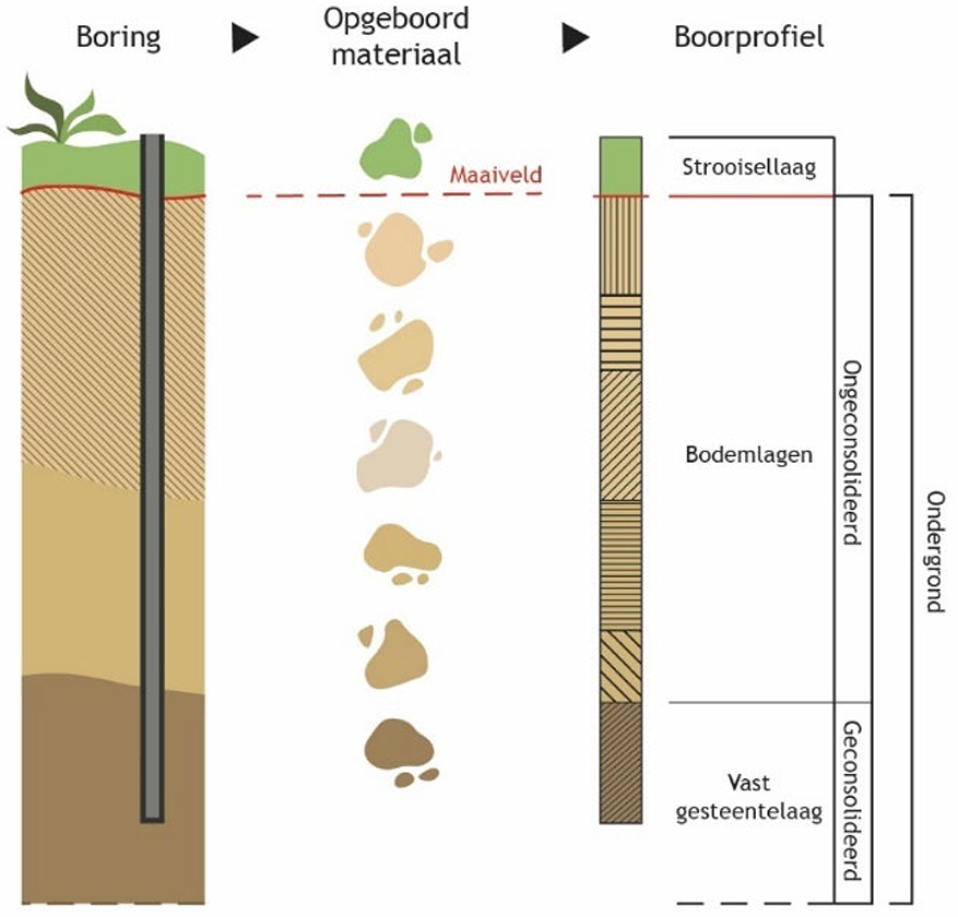 Figuur 2: Van boring tot boorprofiel (in de bodemkundige praktijk wordt overigens niet zo diep in het vaste gesteente geboord als het plaatje suggereert.