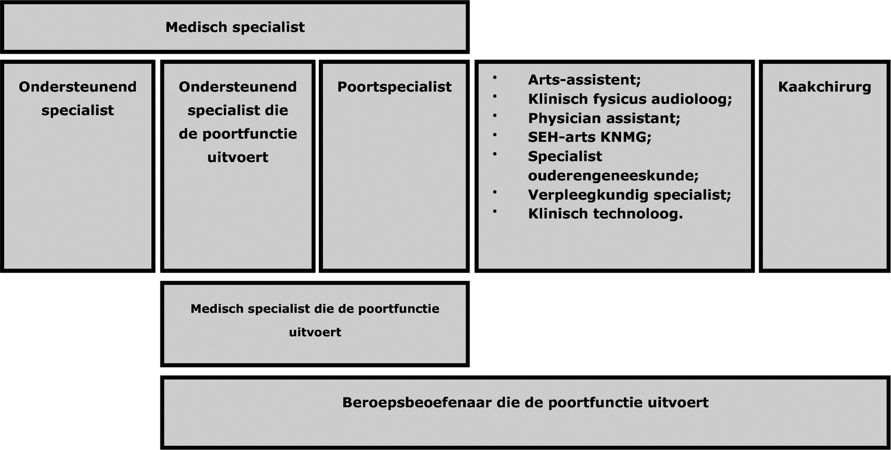 Figuur 1 Overzicht beroepsbeoefenaren