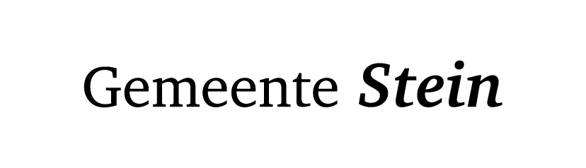 Logo Stein