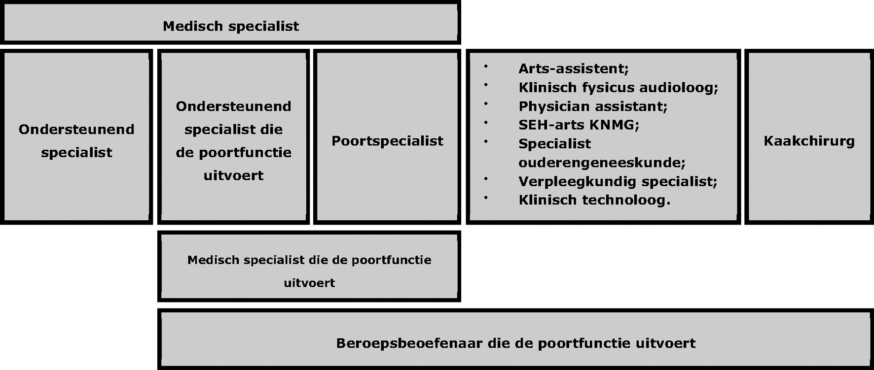 Figuur 1 Overzicht beroepsbeoefenaren