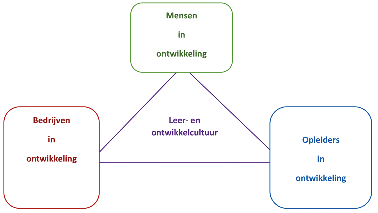 Figuur 1 Beleidslijnen voor een sterke leercultuur