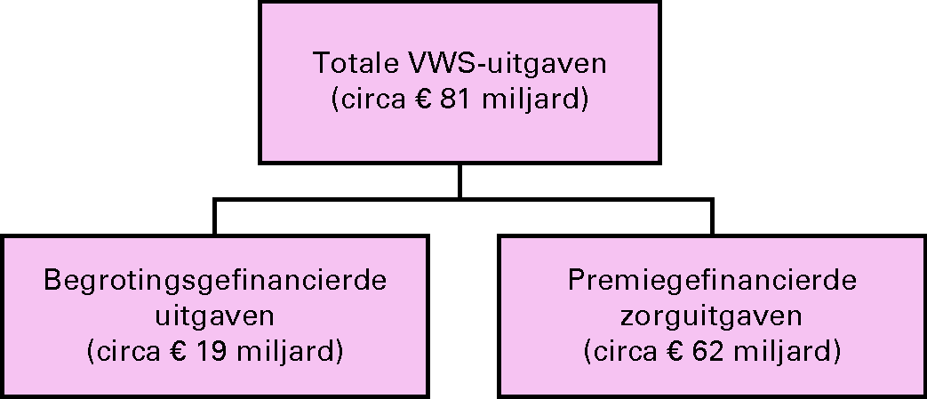 Overzicht 1: Bruto-uitgaven begroting VWS naar financieringsbron