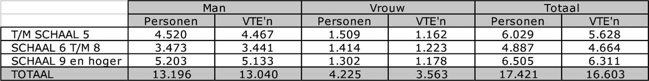 Tabel 6: Opbouw burgerpersoneelsbestand per 1 juli 2013*