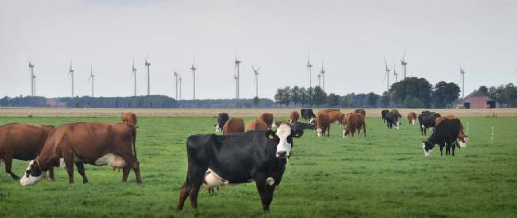 Windmolen-koepanorama, foto Beeldbank EZ