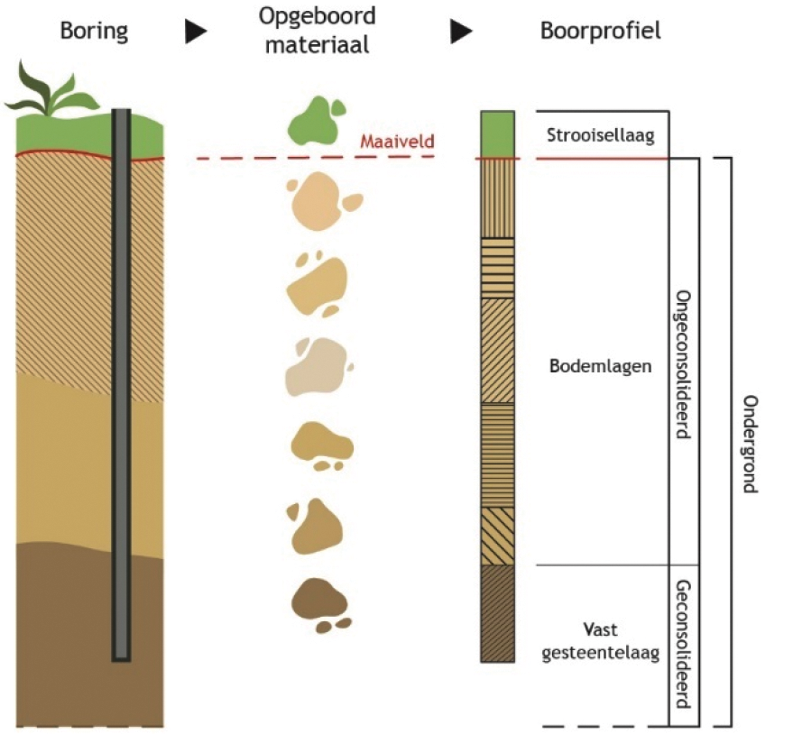 Figuur 7: Van boring tot boorprofiel (in de bodemkundige praktijk wordt overigens niet zo diep in het vaste gesteente geboord als het plaatje suggereert).