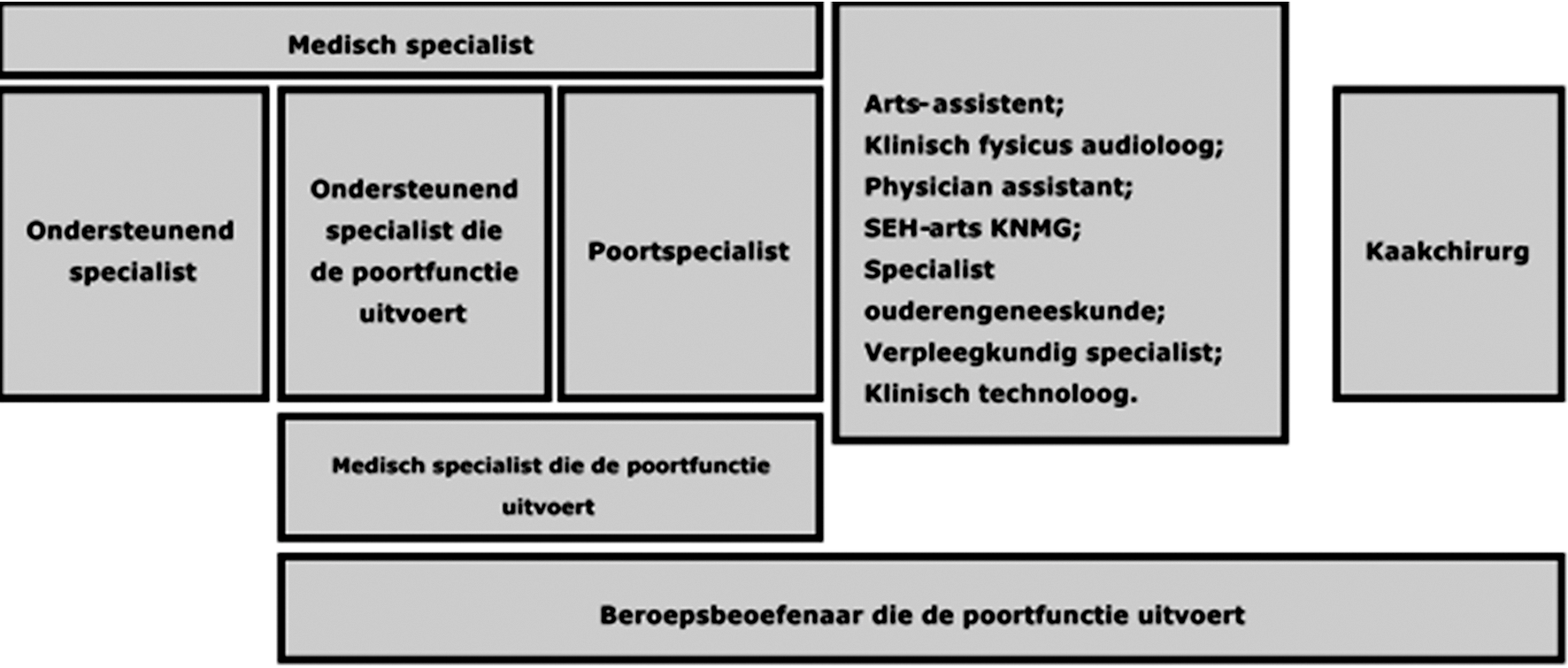 Figuur 1 Overzicht beroepsbeoefenaren 
