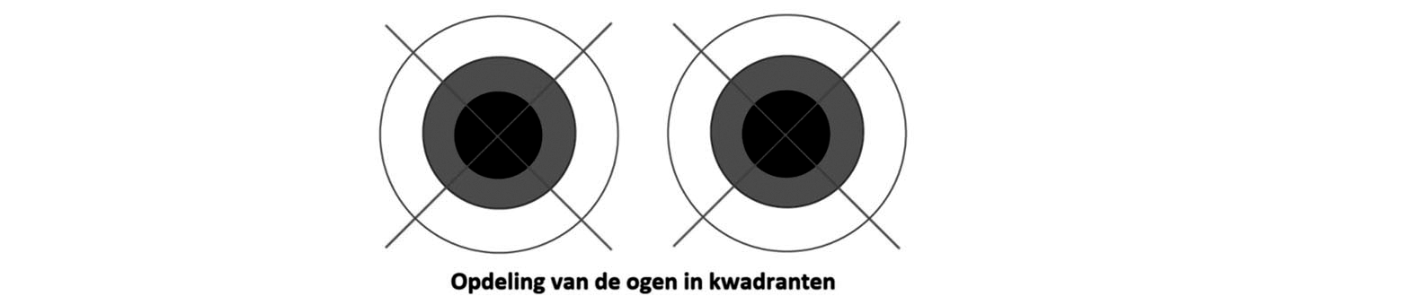 Figuur 3 Opdeling van de ogen in kwadranten