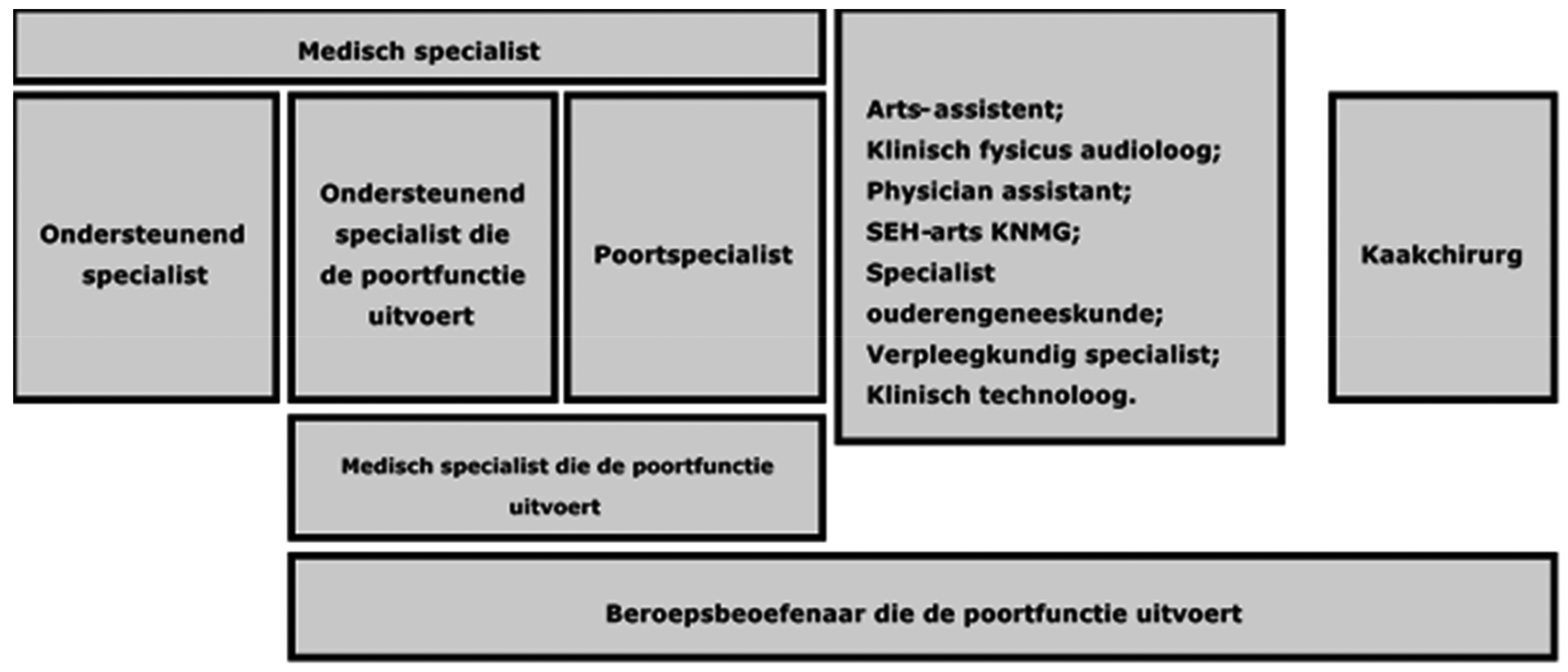 Figuur 1 Overzicht beroepsbeoefenaren