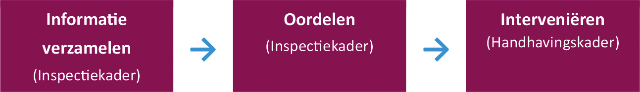 Figuur 2: Opzet toezicht