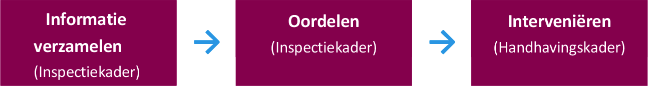 Figuur 2: Opzet toezichtproces