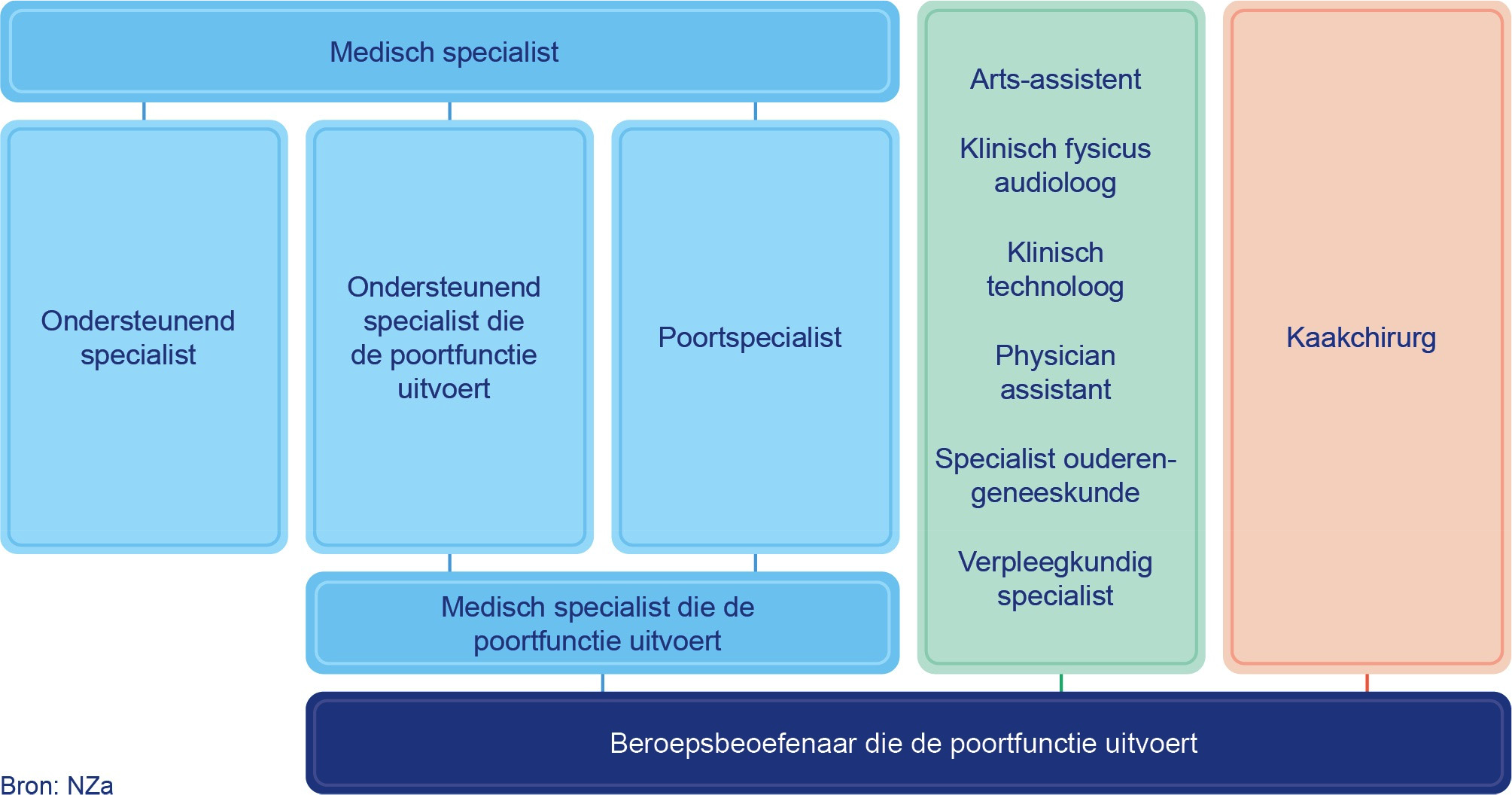 Figuur 1: Overzicht beroepsbeoefenaren