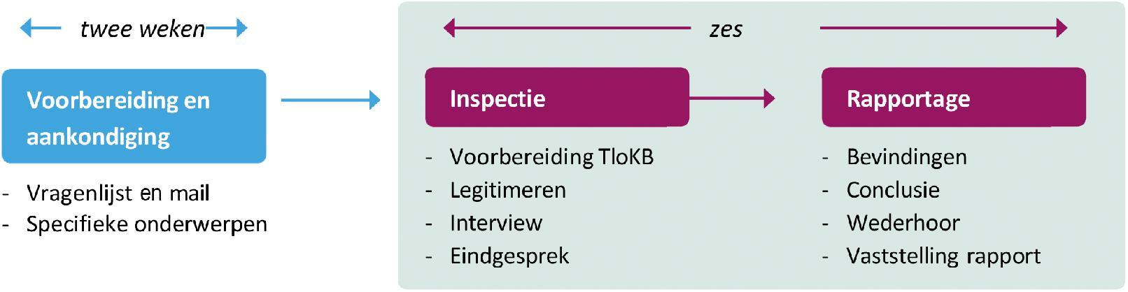 Figuur 6: Inspectieschema