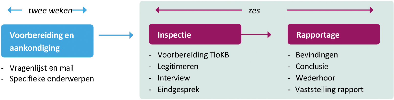 Figuur 3: Inspectieschema