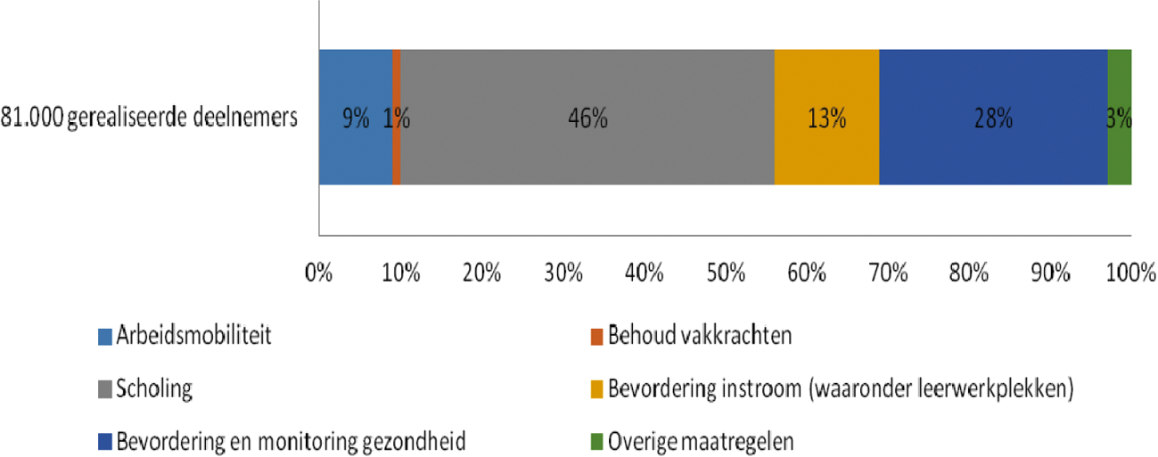 Figuur 3: Gerealiseerde deelnemers aan maatregelen naar thema