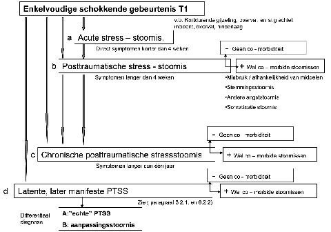 Schematische weergave beloop
                  PTSS