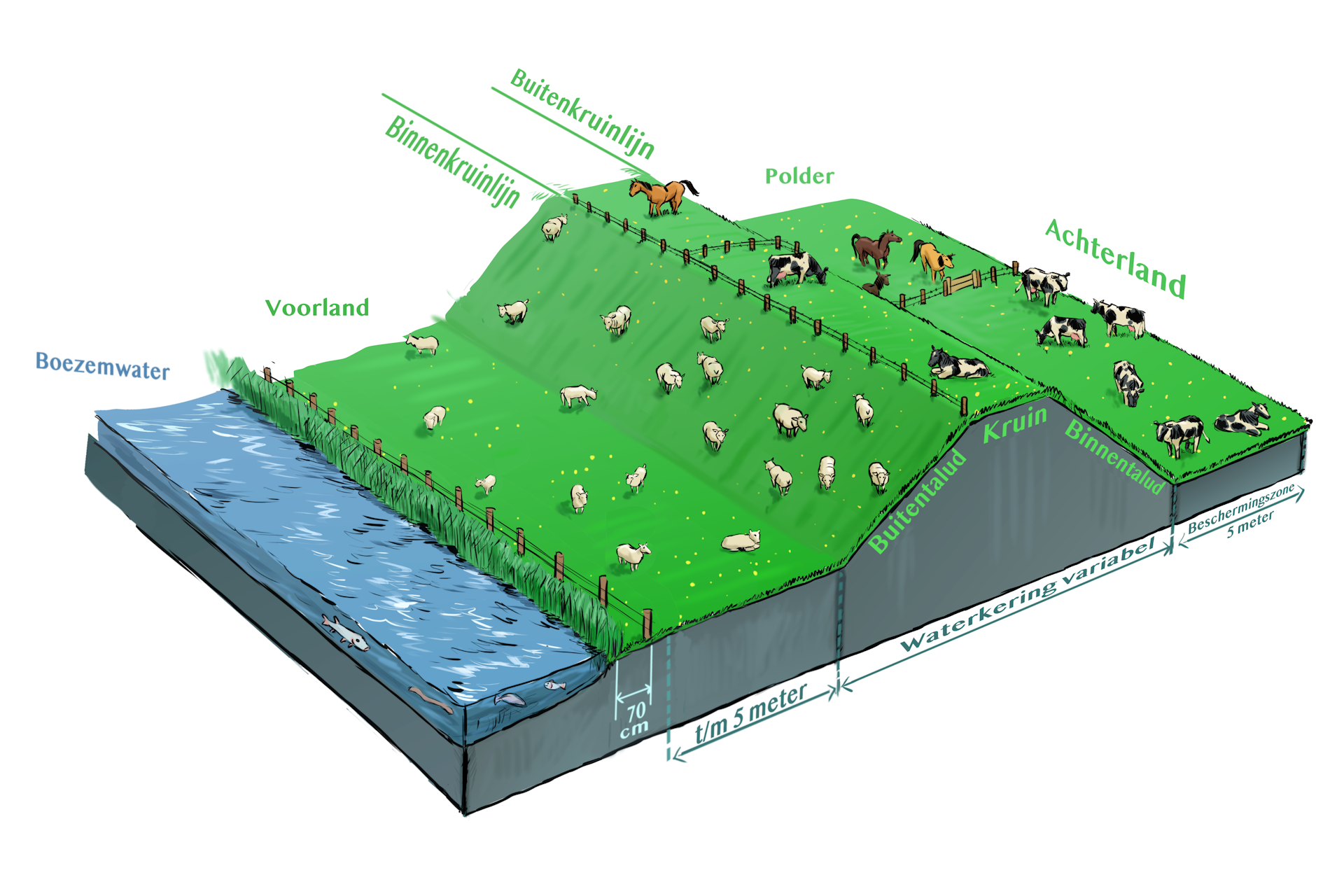 waterschapsverordening - waterkering, dieren houden, boezemwater (voorland)