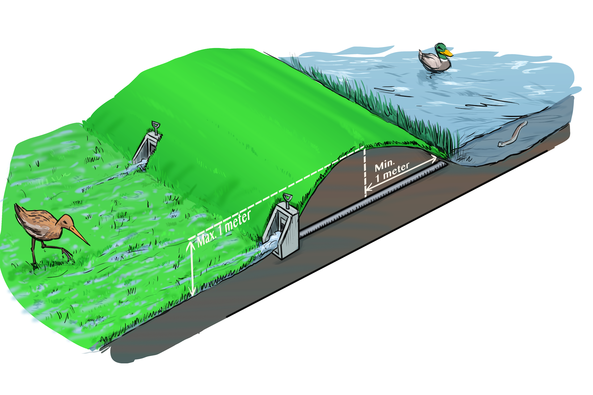 waterschapsverordening - illustratie inlaat