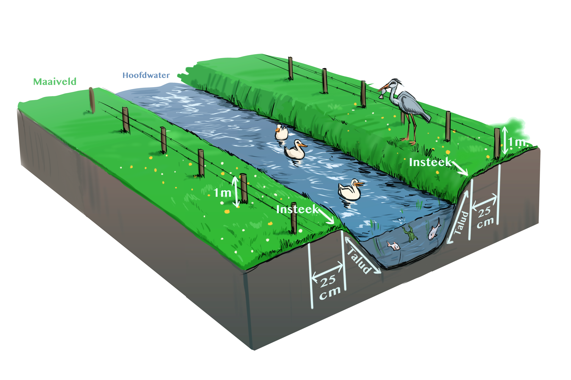 waterschapsverordening - watergang, dieren houden, afrastering