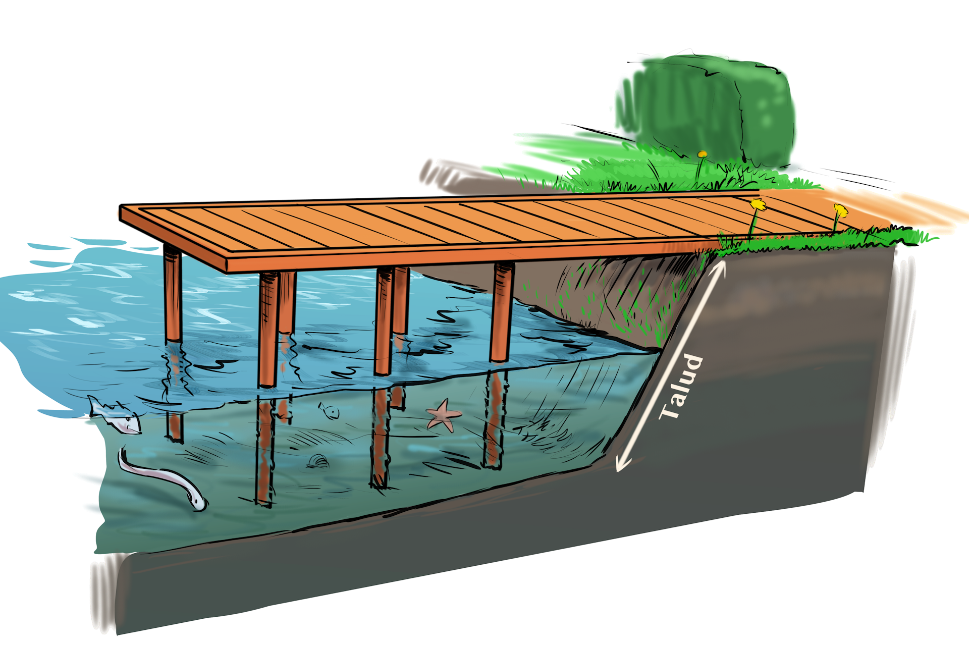 waterschapsverordening - illustratie steiger