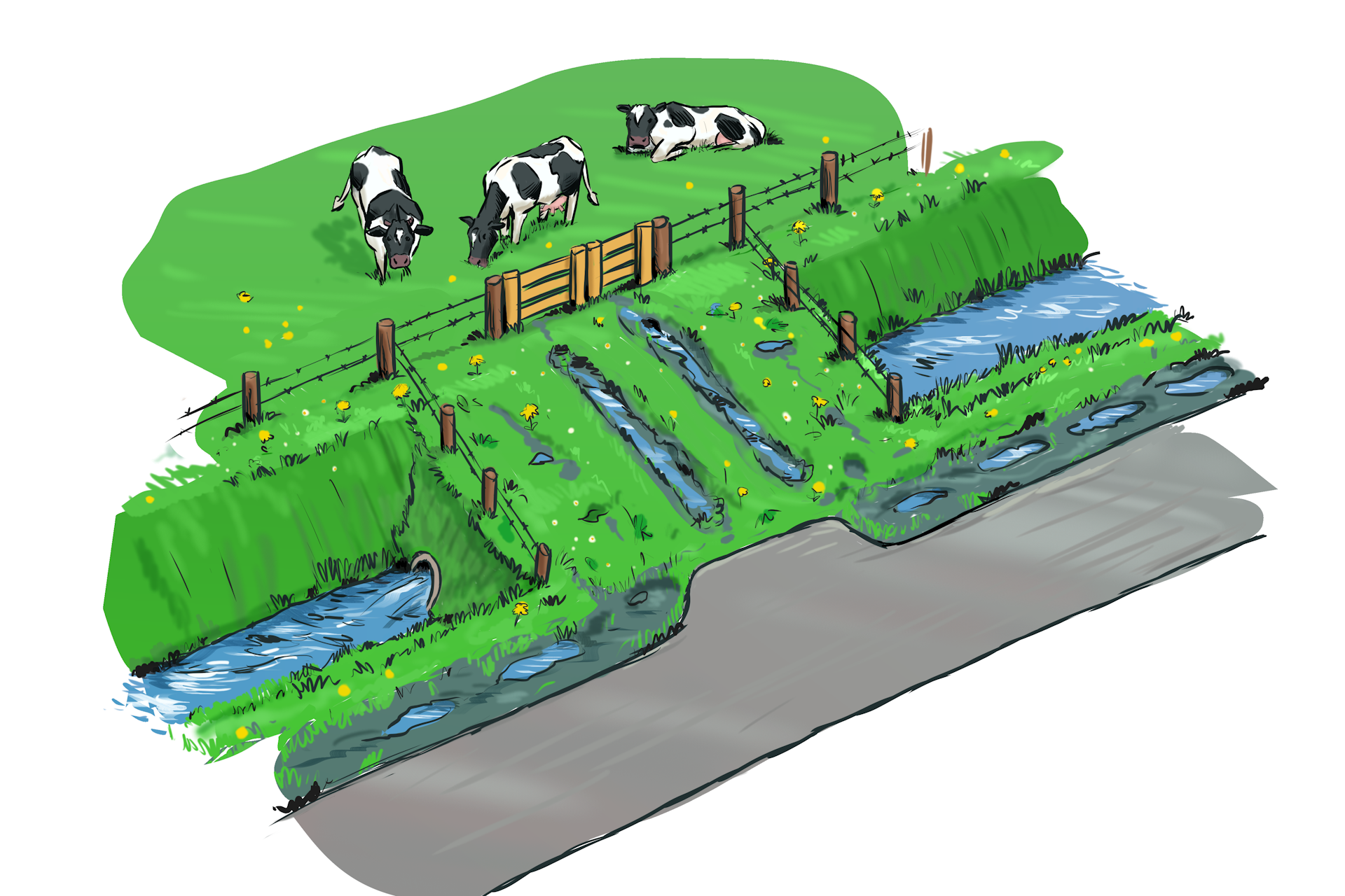 Waterschapsverordening - dam met duiker