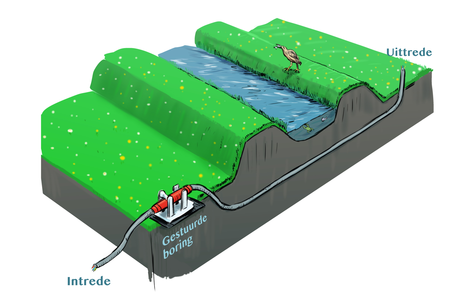 waterschapsverordening - illustratie kabel waterkering kruisen