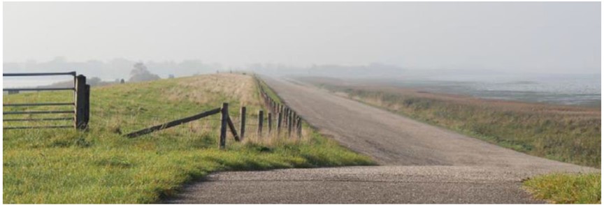 Deze afbeelding geeft de Amsteldiepdijk aan de Waddenzee-zijde in de huidige situatie weer.