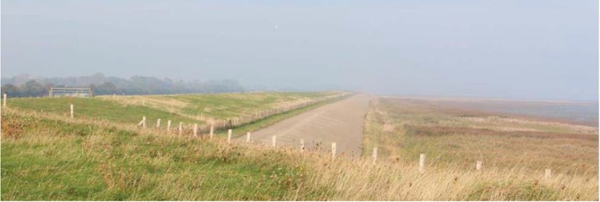 Deze afbeelding geeft de Balgzanddijk aan de Waddenzee-zijde in de huidige situatie weer.