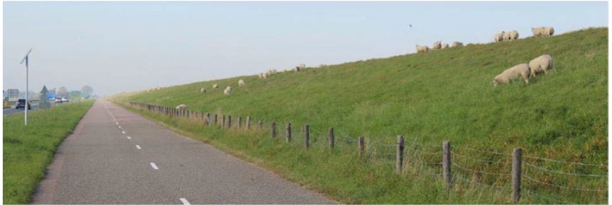 Deze afbeelding geeft de Amsteldiepdijk aan de binnenzijde weer in de huidige situatie. Binnendijks ligt de N99.