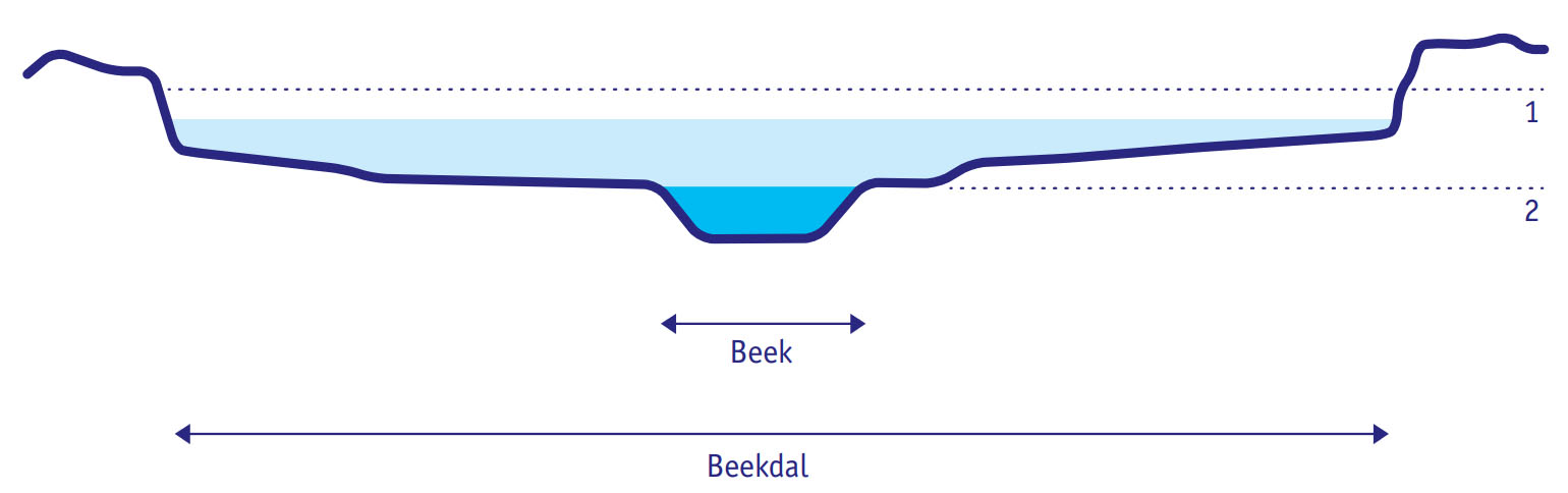 Voorbeeld van een dwarsprofiel van de beek uit het handboek geomorfologisch beekherstel, Stowa.