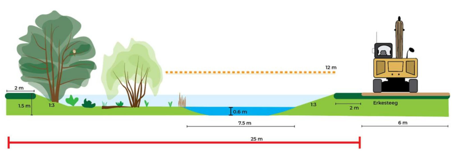 Principe profiel deeltraject B ten westen van de voorde met daarop afmetingen van verschillende onderdelen weergeven waaronder waterdiepte. Daarnaast is er voor de schaal objecten weergeven waaronder bomen en een graafmachine