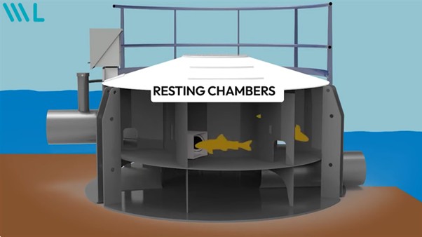 Een visuele weergave van een vispassage / vislift. Aan de ene zijde van de vispassage is het waterpeil hoger dan aan de andere zijde. 